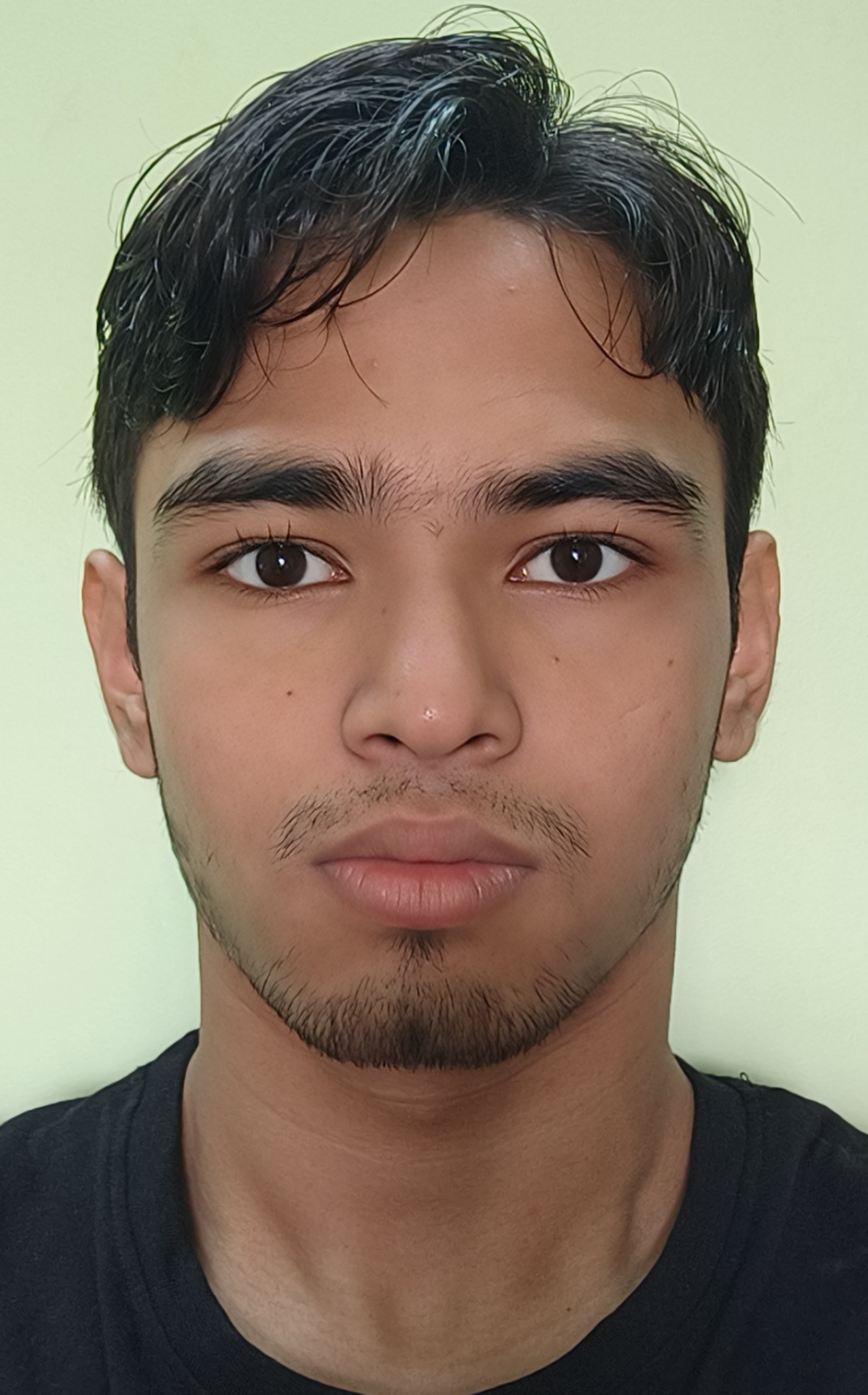 Diptojjwal Roy